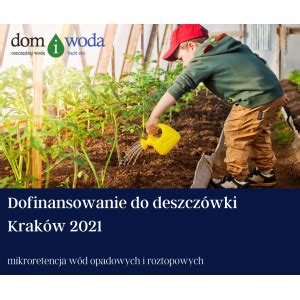 Firma Domiwoda.pl sprawdź rok 2021